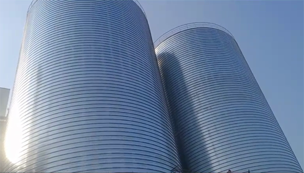 翔安2座混凝土高架卷板仓